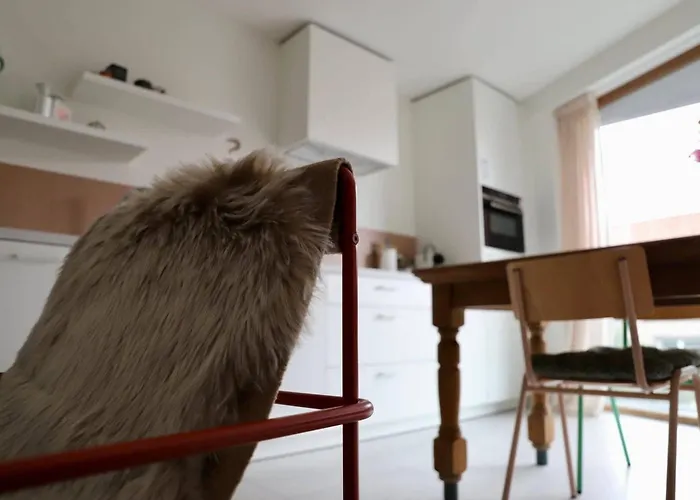 Chez Meme Gernoaze - Unique 2 Bedroom Flat * 奥斯滕德